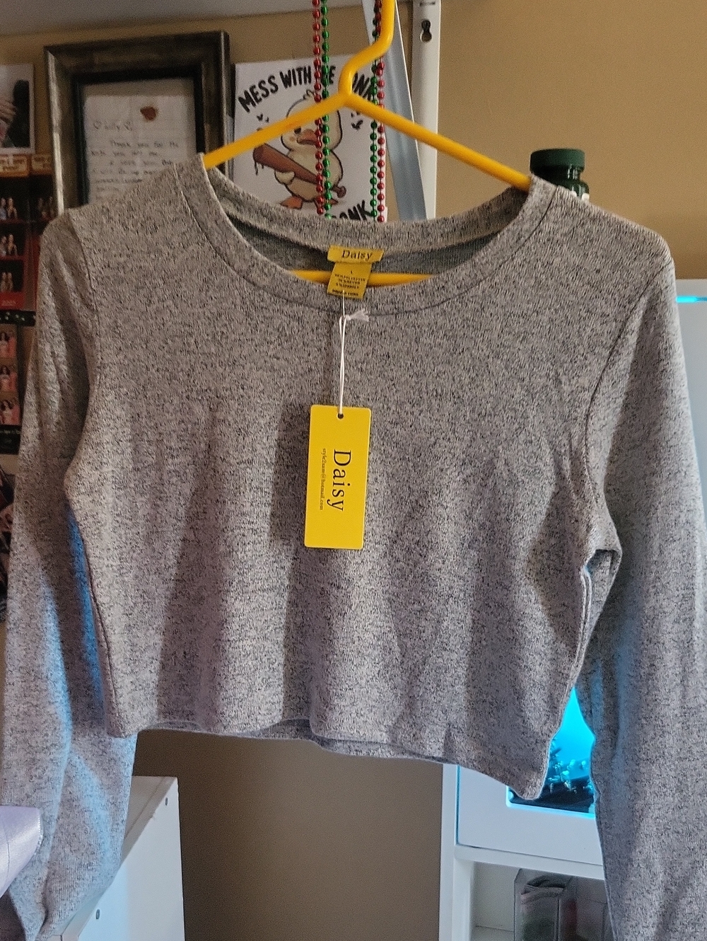 Daisy Women's Gray Long-Sleeve Cropped Top